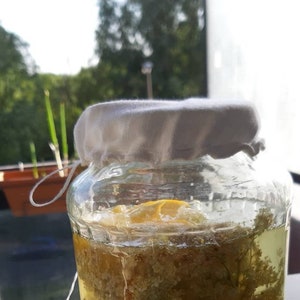 Jar Fermentation Cover / Jar cover for Kombucha or Sourdough / cotton museline jar germinating cover / fabric cover breathing for jars
