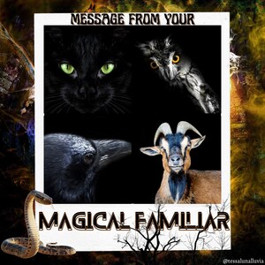 May include: A vintage-style photo frame with a black cat, owl, raven, and goat inside. The frame has the text "Message from your Magical Familiar" at the bottom.