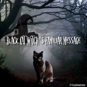 May include: A black cat with green eyes sits in a foggy forest path. A witch's hat is in the background with the text "Black Cat Witch's Familiar Message".