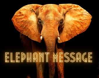 A Channeled Message from the Elephant Spirit Guide Reading 4-5 paragraphs