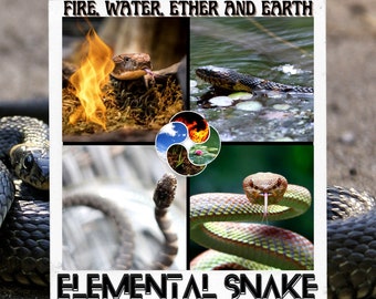 A Channeled Message from the Elemental (Fire Water Ether Earth) SNAKE Spirit Guide Reading 4-5 paragraphs