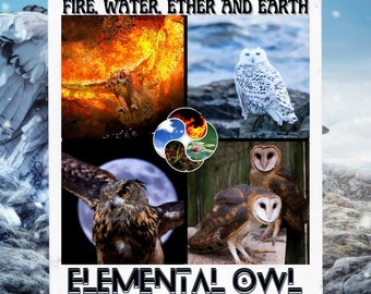 A Channeled Message from the Elemental (Fire Water Ether Earth) OWL Spirit Guide Reading 5-6 paragraphs