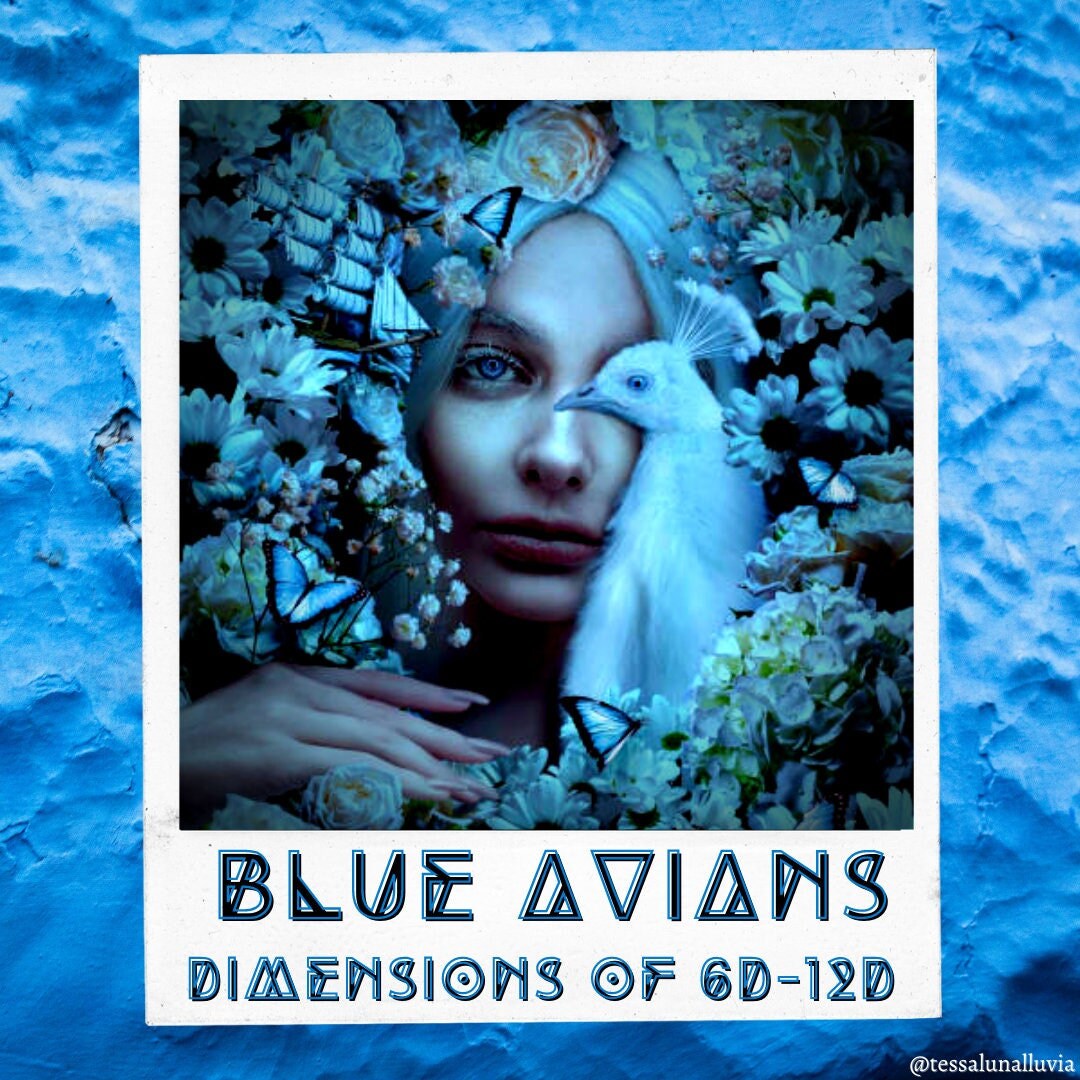 A Channeled Message From a Galactic Blue Avian Starseed Reading by ...