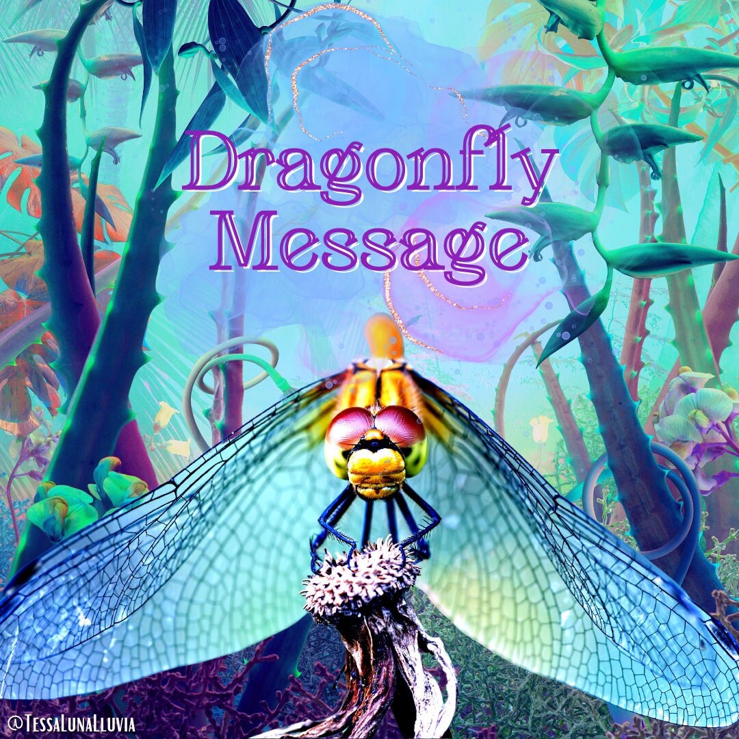 A Channeled Message From the Dragonfly Animal Spirit Guide - Etsy A Channeled Message From the Dragonfly Animal Spirit Guide - Etsy