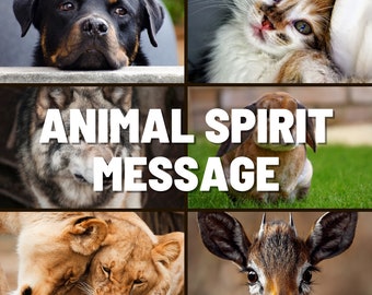 A Channeled Message from your Spirit Animal Guide Reading by email 4-5 paragraphs