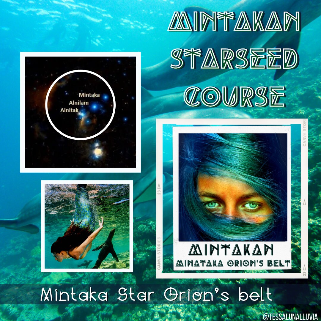 Are You a Mintakan Mintakan Starseed Course 3 Step Program With