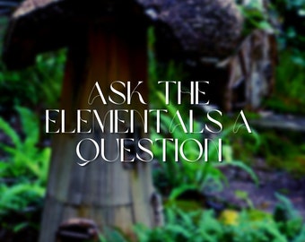 Ask the Elementals (fairy, elves, mermaid, etc...) a question Reading (or choose 1 question + message)