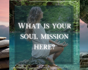 Detailed Reading What's YOUR SOUL Mission here? 4-5 paragraphs