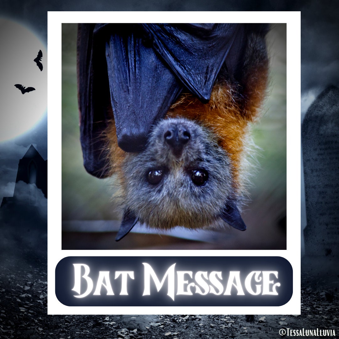 A Channeled Message From the BAT Animal Spirit Guide Reading 4-5 ...