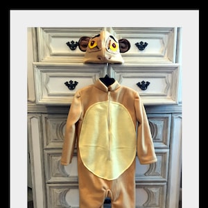 Queen Sarabi Costume, Queen Sarabi, Lion Costume, Pumbaa Costume, Timon Costume, Simba Costume