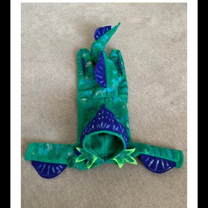 Luca Costume