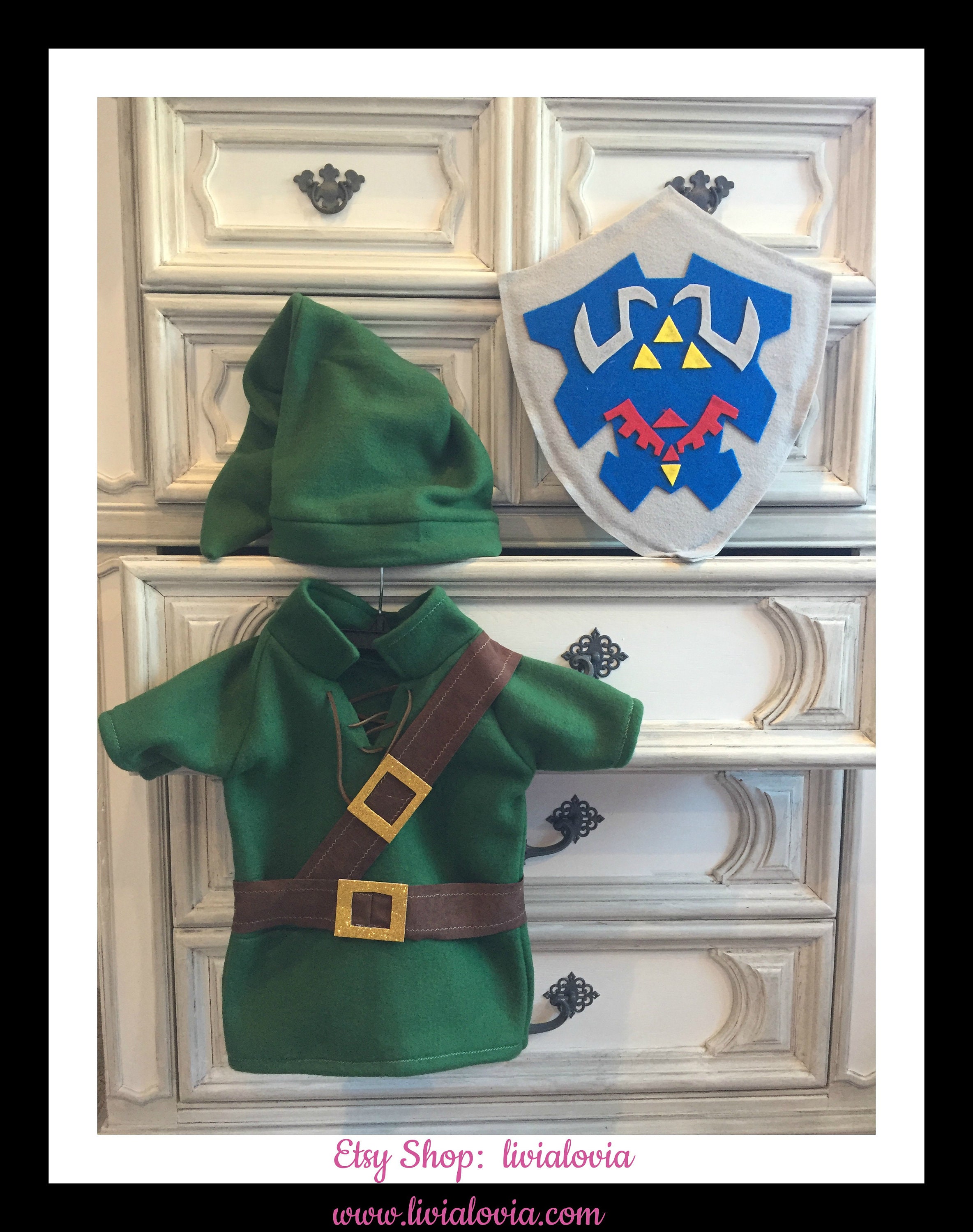 DIY Link (Zelda) Costume