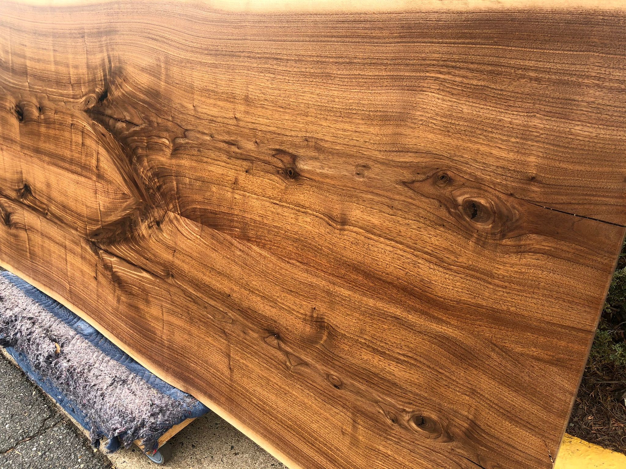 solol wood(walnut） Evenex Sincro Madeira Walnut | Product Library | est living