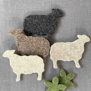 May include: Four felt sheep in different colours: black, brown, white and beige. The sheep are all facing the same direction and are arranged in a semi-circle.