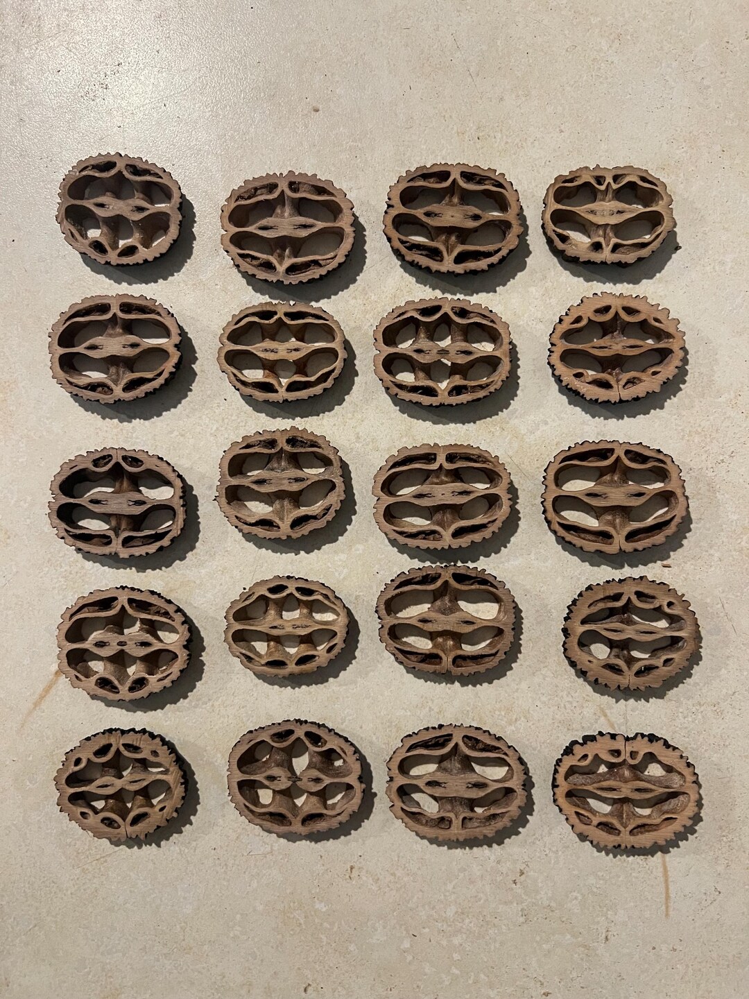 20 Walnut Shell Slices - Etsy