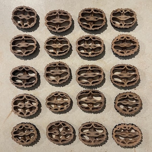 May include: A collection of twenty walnut shells, each halved, arranged in a grid pattern. The shells are a light brown color with intricate internal structures. The shells are empty and appear to be dried.