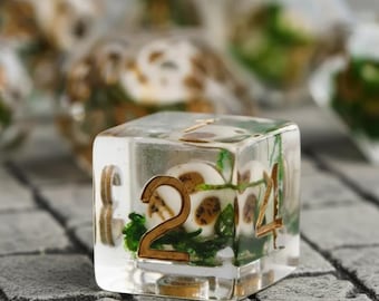 Skulls Encased in Moss Resin Dice Set for Dungeons & Dragons DND RPG TTRPG (7-Piece)