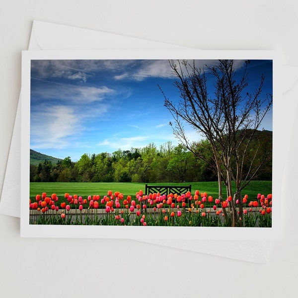 Tulip Flower Photo Note Cards Handmade, Blue Ridge Mountains Blank Greeting Card with Envelopes,  Nature Photography, Golf Card, Photo Gifts