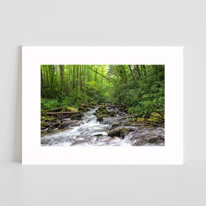 Blue Ridge Mountains Nature Print, Pisgah River Photography Art, Scenic North Carolina Landscape Picture, Flowing Water Reflections Picture