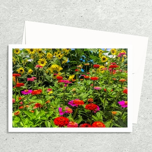 Flower Photo Art Cards Handmade, Zinnia Sunflower Garden Photography Cards,, 5x7 Floral Print, Nature Blank Greeting Cards with Envelopes image 1