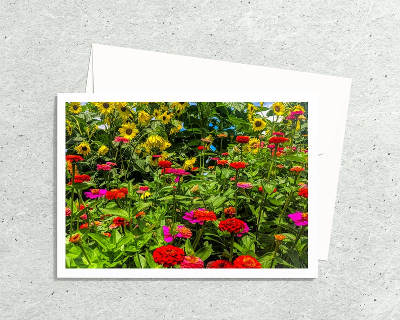 Flower Photo Art Cards Handmade, Zinnia Sunflower Garden Photography Cards,, 5x7 Floral Print, Nature Blank Greeting Cards with Envelopes image 1