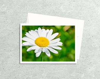 Tarjetas de notas fotográficas de flores silvestres de margarita hechas a mano, tarjetas de felicitación en blanco de la naturaleza con sobres, tarjetas de flores florales, arte botánico, regalos de anfitriona