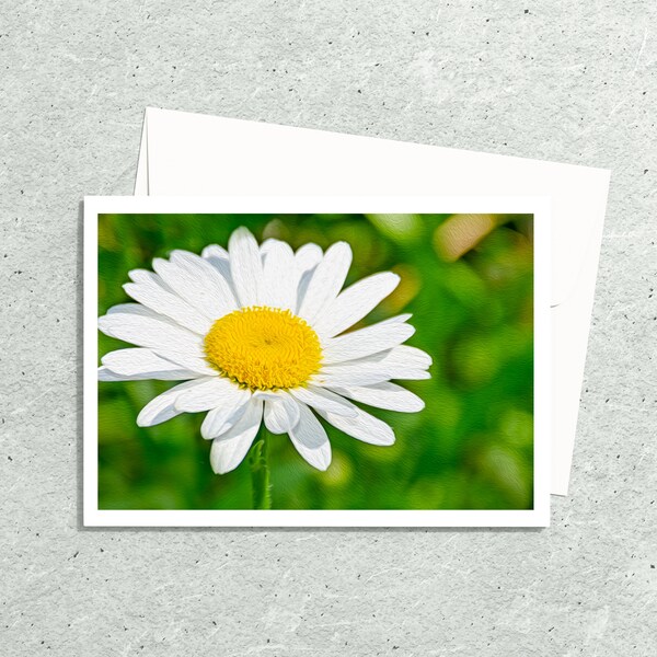 Daisy Wildflower Photo Note Cards Handmade, Nature Blank Greeting Cards with Envelopes, Floral Flower Cards, Botanical Art, Hostess Gifts