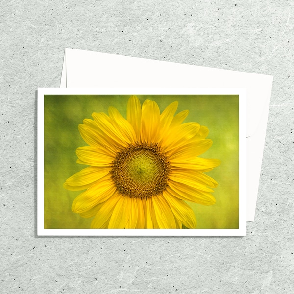 Vivid Sunflower Note Cards Handmade, Blank Flower Photo Greeting Cards with Envelopes, Botanical Art, Floral Notecards, Fine Art Card