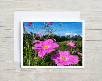 Flower Art Photo Note Cards Handmade, Blank Greeting Cards with Envelopes, Pink Cosmos Nature Cards, Thank You Cards, Hostess Gifts