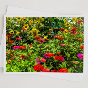 Flower Photo Art Cards Handmade, Zinnia Sunflower Garden Photography Cards,, 5x7 Floral Print, Nature Blank Greeting Cards with Envelopes image 5