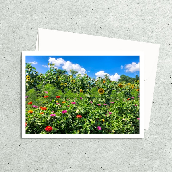 Wildflower Zinnia Art Photo Note Cards, Nature Blank Greeting Cards, Handmade Cards With Envelopes, Flower 5x7 Prints