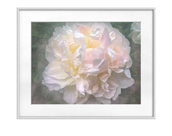 Flower Wall Art, Peony Painting Photography Prints , Nature Wall Art for your Kitchen Bathroom Decor,  Botanical Wall Art, Gift for Sister