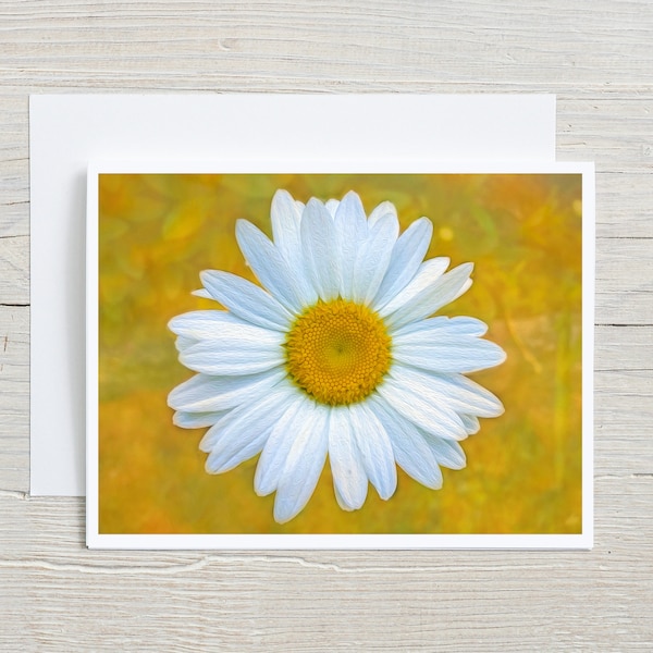 Daisy Note Cards Etsy