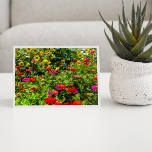 Flower Photo Art Cards Handmade, Zinnia Sunflower Garden Photography Cards,, 5x7 Floral Print, Nature Blank Greeting Cards with Envelopes image 2