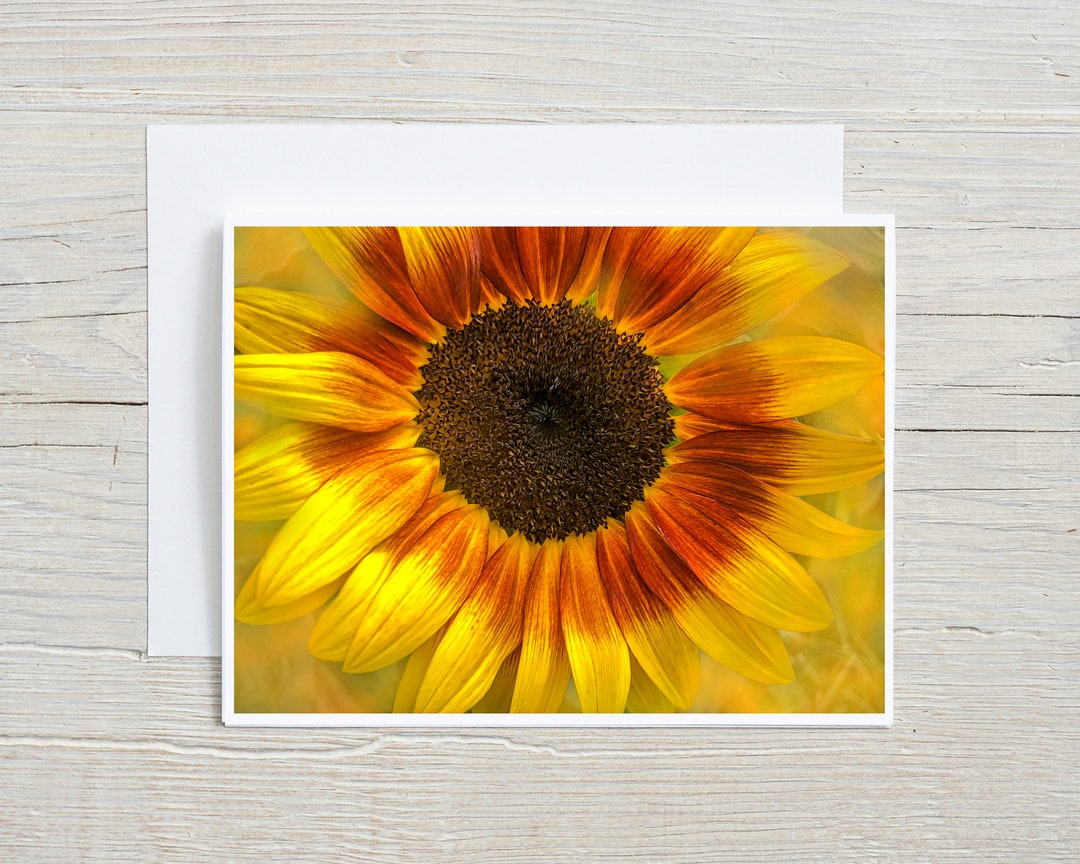 Sunflower Art Handmade Cards, Photo Note Cards With Envelopes, Flower ...