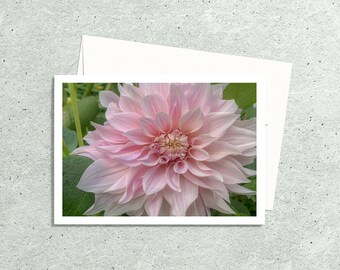 Dahlia Art Pink Flower Photo Greeting Cards Handmade with Envelopes, Nature Photography Botanical Artwork, Photo Notecards, Hostess Gifts