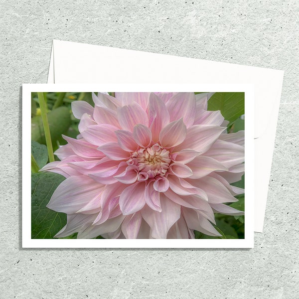 Dahlia Art Pink Flower Photo Greeting Cards Handmade with Envelopes, Nature Photography Botanical Artwork, Photo Notecards, Hostess Gifts