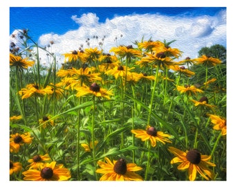 Flower Photo Wall Art, Photography Print, Black Eyed Susan Garden Art Blooms, 8x10 Print, Floral Print, Kitchen Botantical Decor