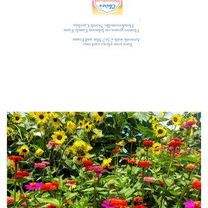 Flower Photo Art Cards Handmade, Zinnia Sunflower Garden Photography Cards,, 5x7 Floral Print, Nature Blank Greeting Cards with Envelopes image 6
