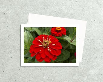 Zinnia Flower Photography Cards Photo Note Cards Handmade with Envelopes Floral 5x7 Photo Greeting Fine Art Cards Botanical Note Cards