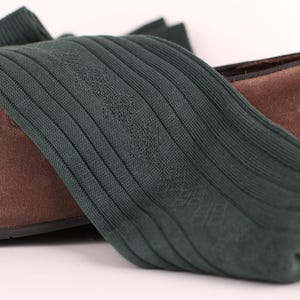 May include: A pair of dark green ribbed socks with a brown leather shoe.