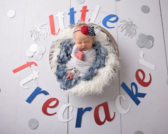 Little Firecracker Glitter Banner, 4th Birthday Party Decor
