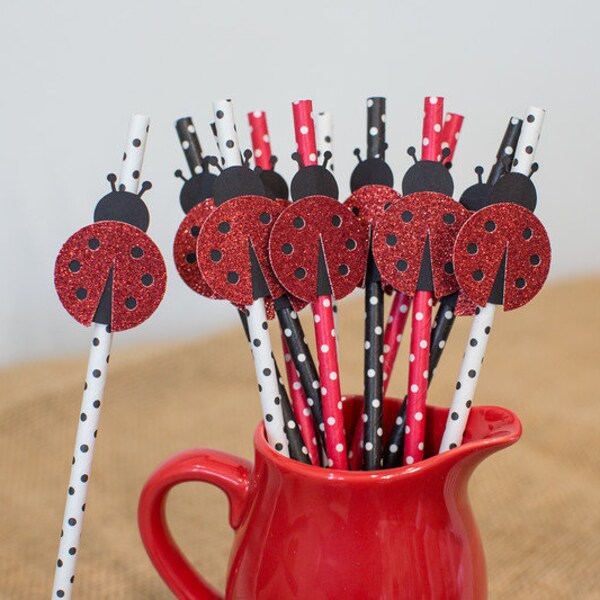 Ladybug Straws. Ladybug Birthday Decorations. Ladybug Baby Shower Decorations. Ladybug 1st Birthday. Little Lady First Birthday. Party Straw