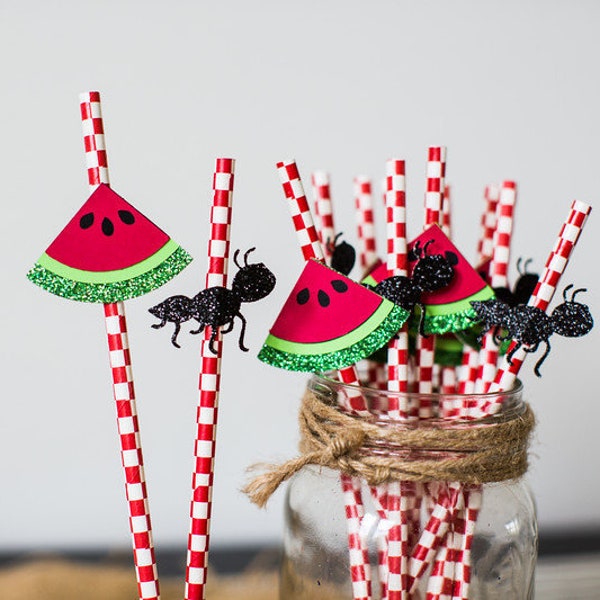 Picnic Party Decorations. One in a Melon 1st Birthday Decorations. Watermelon Party Decorations. Picnic Birthday Decor. Summer Picnic Decor.