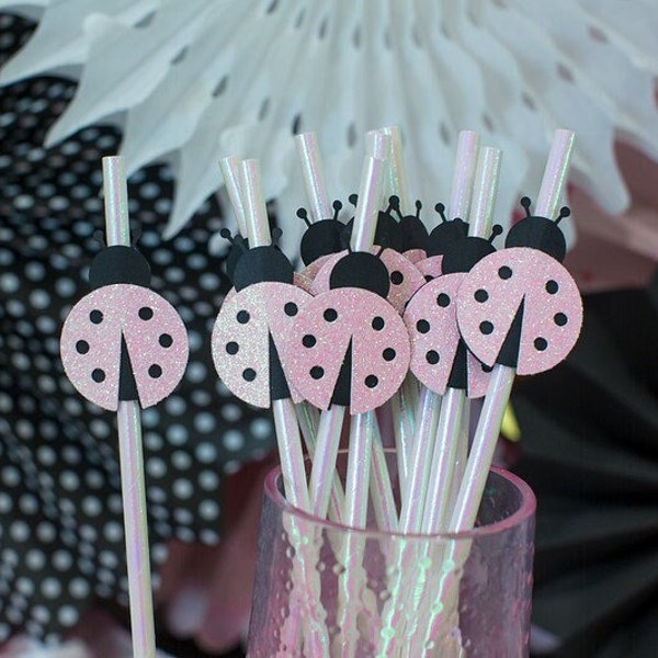 Pink Ladybug Decorations. Little Lady Birthday. Little Lady Baby Shower. Ladybug Birthday. Ladybug 1st Birthday. Ladybug Shower Decorations.