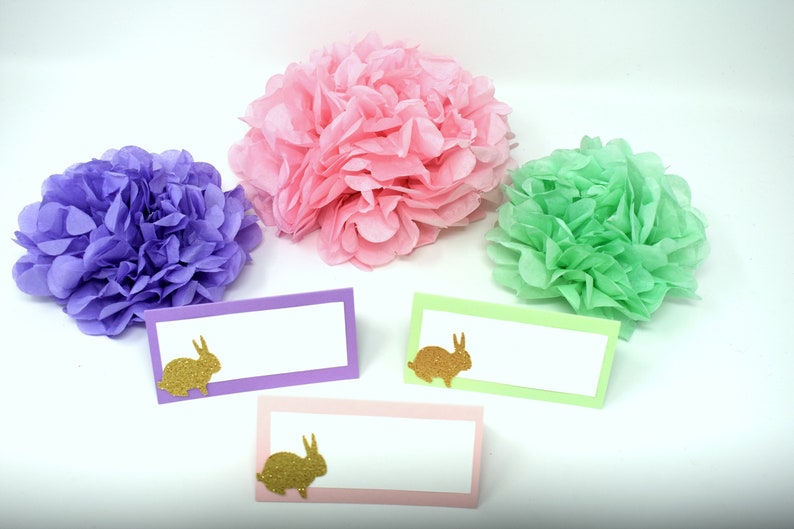 Bunny Food Tents, Bunny Place Cards, Some Bunny Is One, Some Bunny Is On The Way, Easter Food Tents, Easter Food Labels, Easter Place Cards image 1