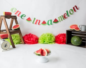 One In A Melon Banner, One In A Melon Birthday, Watermelon Birthday Decorations, One In A Melon Decorations, Watermelon Birthday Banner,