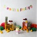 Twotti Fruity Banner, Two-tti Fruity Party Decorations, Twotti Fruity ...