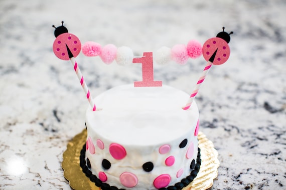 Ladybug 1st Birthday. Ladybug Cake Topper. Ladybug Party Decorations. Pink Ladybug Decorations. Ladybug Pom Pom Topper. Ladybug Party Decor Il_570xn