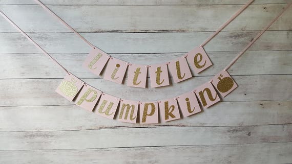 Little Pumpkin, Little Pumpkin Banner, Our Little Pumpkin, Little Pumpkin Shower, Little Pumpkin First Birthday, Little Pumpkin Decorations Il_570xn